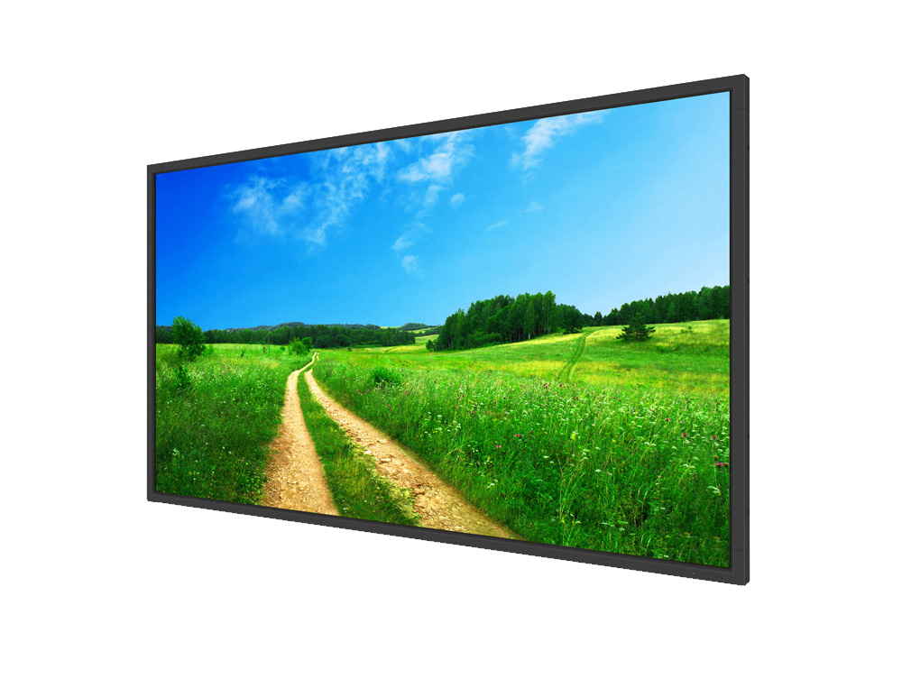 Professional Monitors